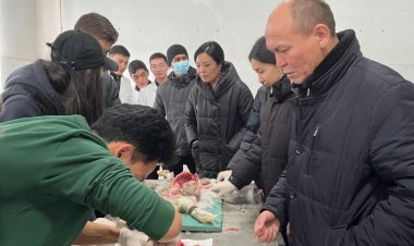 "Келечекке кадам: мектеп окуучулары медицина дүйнөсү менен таанышты"